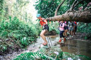 BIB: 
                            <button type="button" onclick="openModal(25476620)" class="btn btn-primary btn-sm float-right btn-popup" data-toggle="modal" data-target=".modal-high-quality">
                        <i class="fas fa-shopping-cart"></i> Add to Cart
                    </button>
                                            <button type="button" onclick="isThisMe(25476620, true)" class="btn btn-success btn-sm float-right btn-popup btn-isme hidden" data-toggle="tooltip" data-placement="bottom" title="นี่คือรูปของคุณใช่ไหม คลิกที่นี่เพื่อเอาเข้าอัลบั้ม">
                        <i class="fas fa-plus"></i> Add to album
                    </button>
                    <button type="button" onclick="isThisMe(25476620, false)" class="btn btn-warning btn-sm float-right btn-popup btn-isnotme hidden">
                        <i class="fas fa-ban"></i> Remove from album
                    </button>